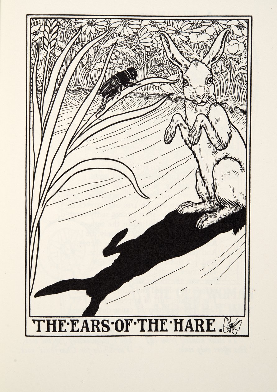 As Orelhas da Lebre, de Fontaine Fables, pub. 1905 de Percy J. Billingshurst