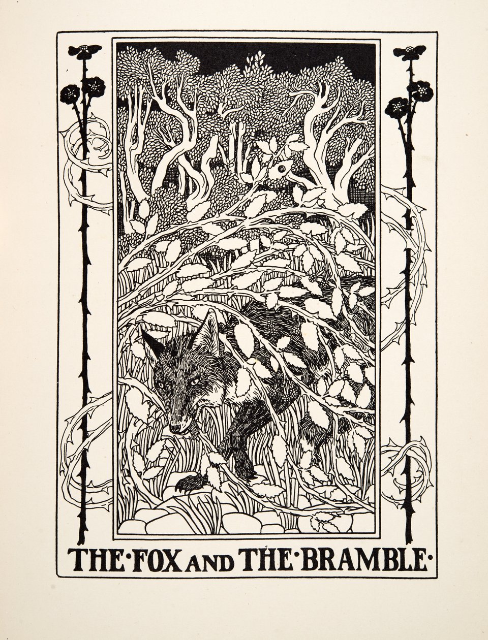 A raposa e o espinheiro, de cem fábulas de Esopo, pub.1903 de Percy J. Billingshurst