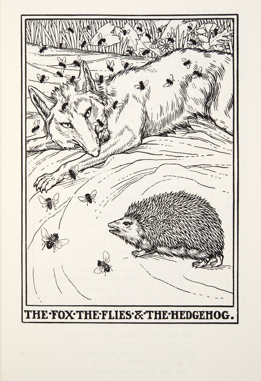 A Raposa, as Moscas e o Ouriço, de Fontaine Fables, pub. 1905 de Percy J. Billingshurst