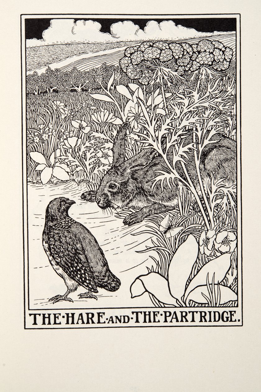 The Hare e The Partridge, de Fontaine Fables, pub. 1905 de Percy J. Billingshurst