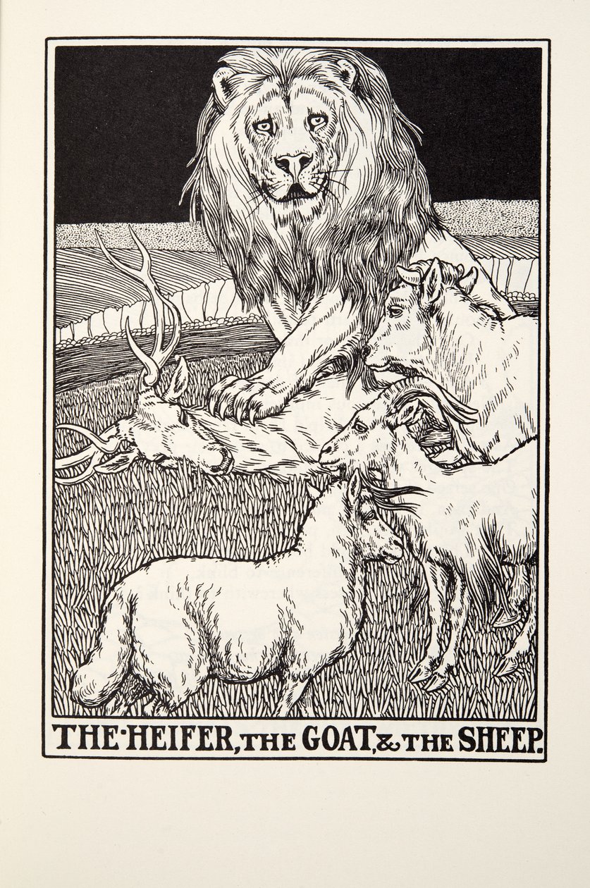 A Novilha, a Cabra e as Ovelhas, de Fontaine Fables, pub. 1905 de Percy J. Billingshurst