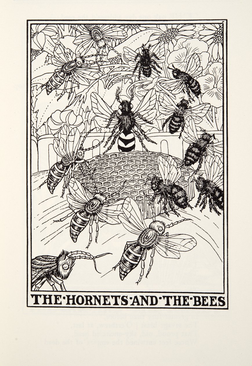 The Hornets and the Bees, de Fontaine Fables, pub. 1905 (gravura) de Percy J. Billingshurst