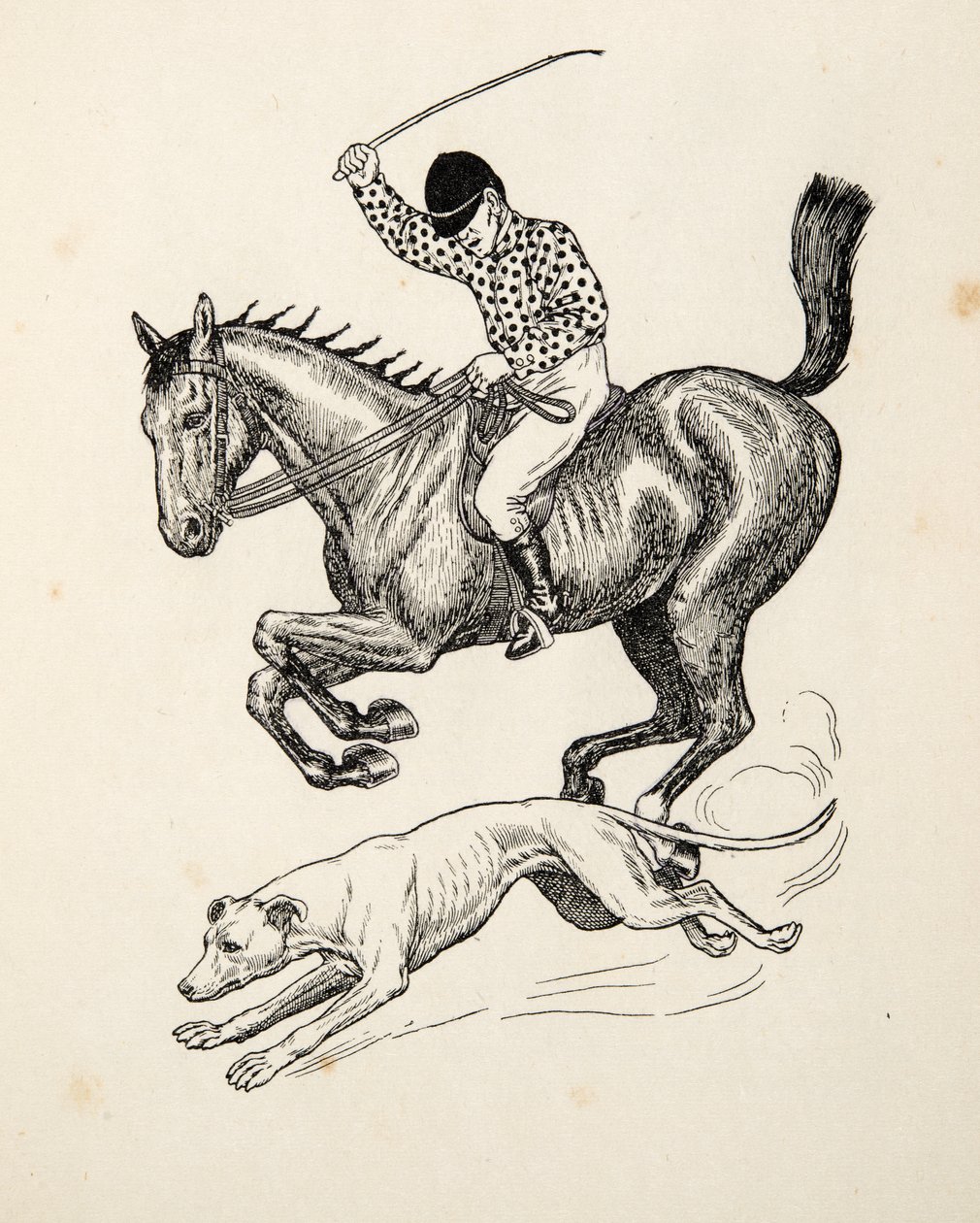 O cavalo e o galgo, de cem anecdotes dos animais, bar. 1924 de Percy J. Billingshurst