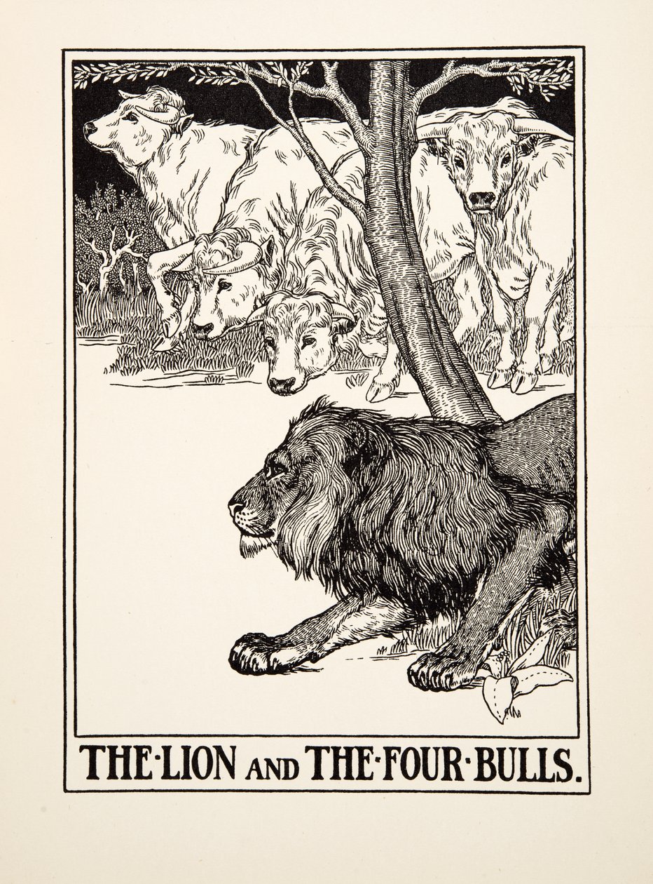 The Lion and the Four Bulls, de A Hundred Fables of Aesop, pub.1903 (gravura) de Percy J. Billingshurst