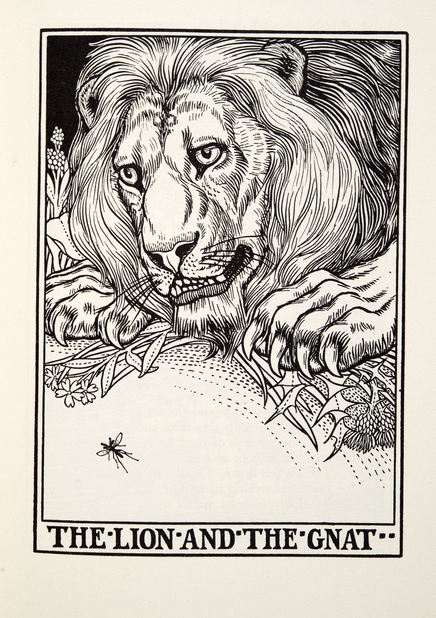 O Leão e o Mosquito, de Fontaine Fables, pub. 1905 de Percy J. Billingshurst