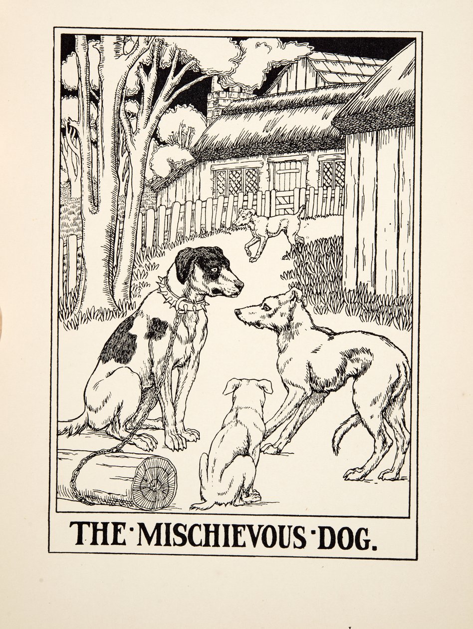 The Mischievous Dog, from A Hundred Fables of Aesop, pub.1903 (gravura) de Percy J. Billingshurst