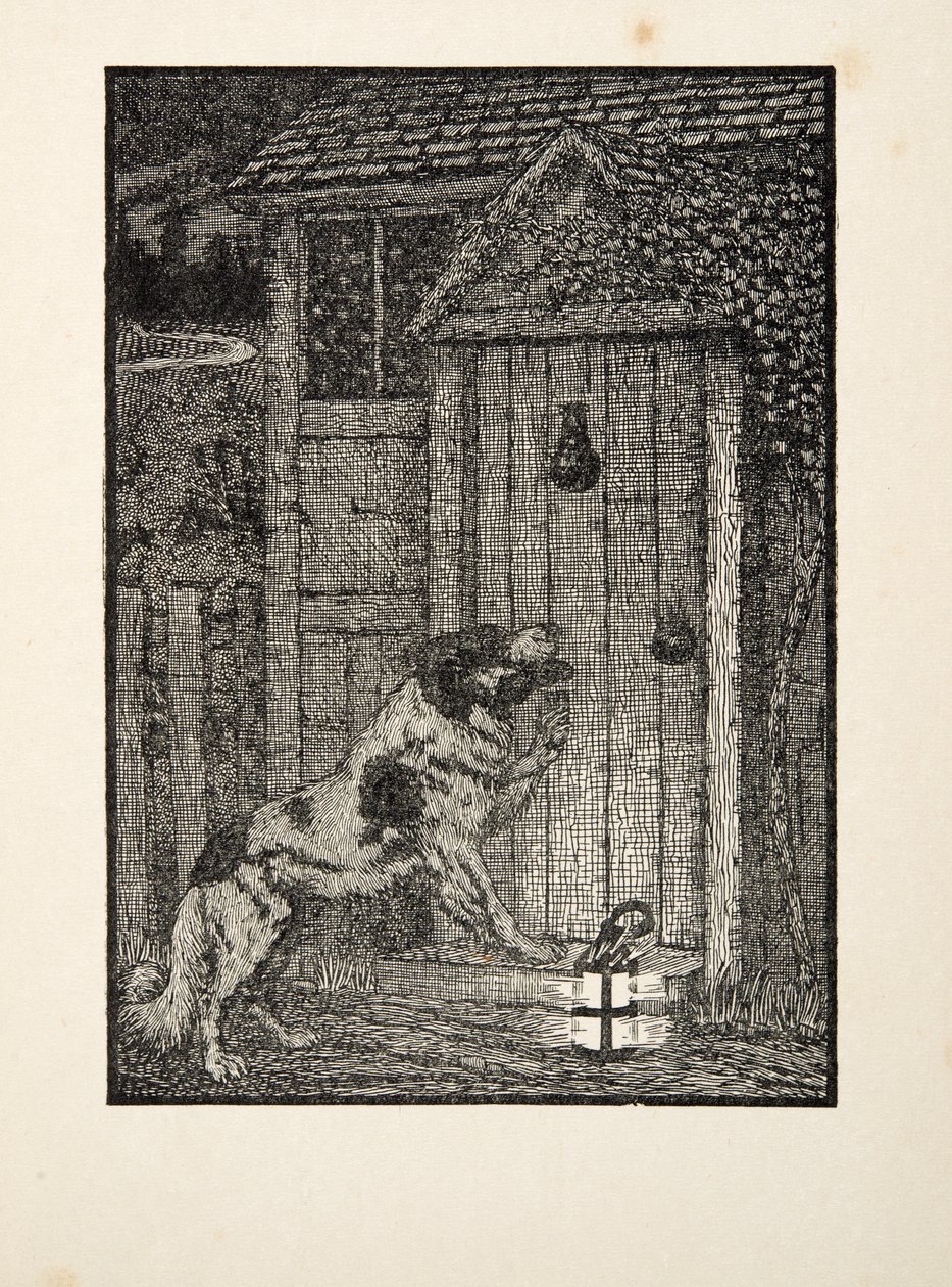 O cão de Terra Nova, de cem anecdotes dos animais, bar. 1924 de Percy J. Billingshurst