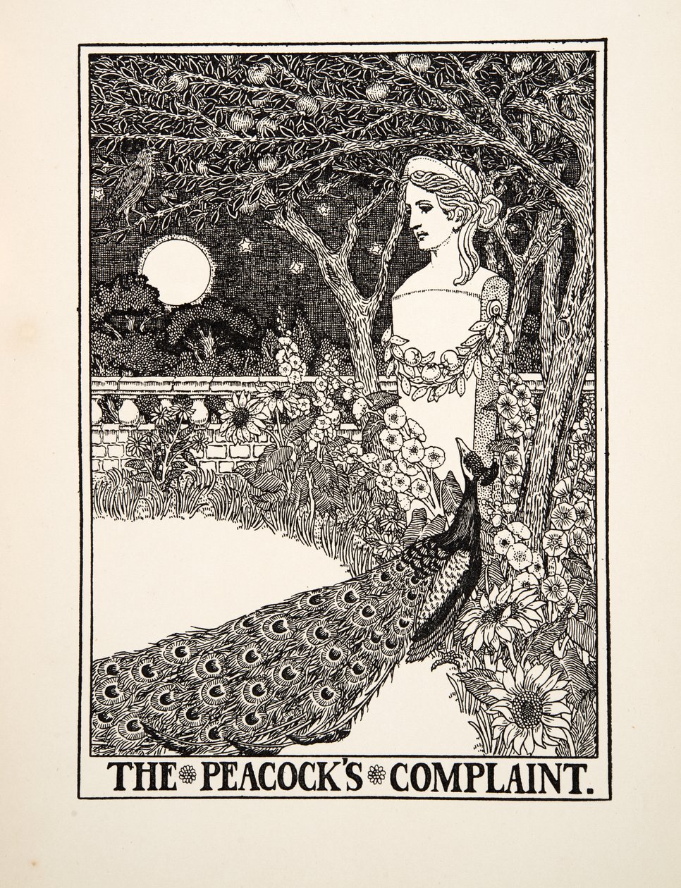 A queixa dos pavões, de cem fábulas de Esopo, pub.1903 de Percy J. Billingshurst