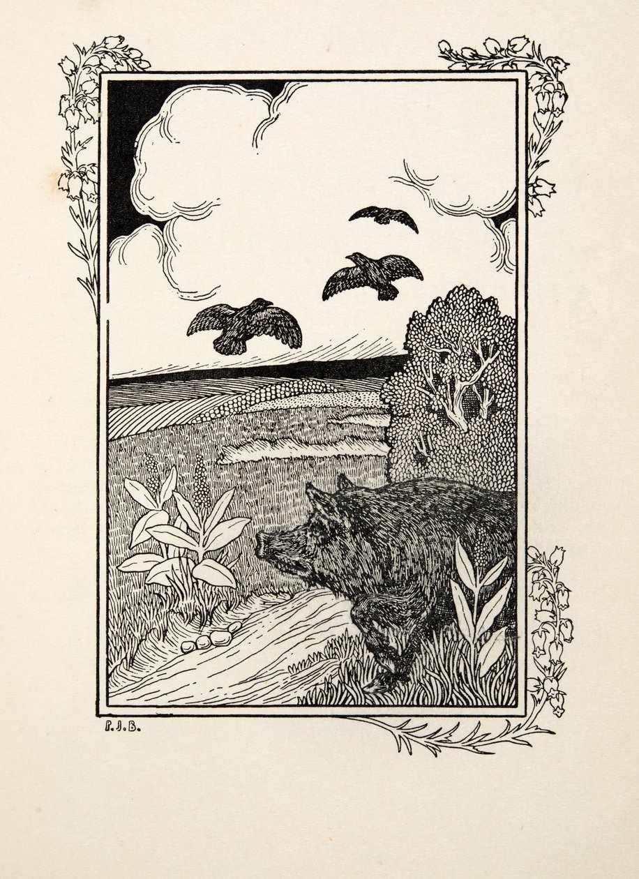 O ponteiro do porco, de cem anecdotes dos animais, bar. 1924 de Percy J. Billingshurst