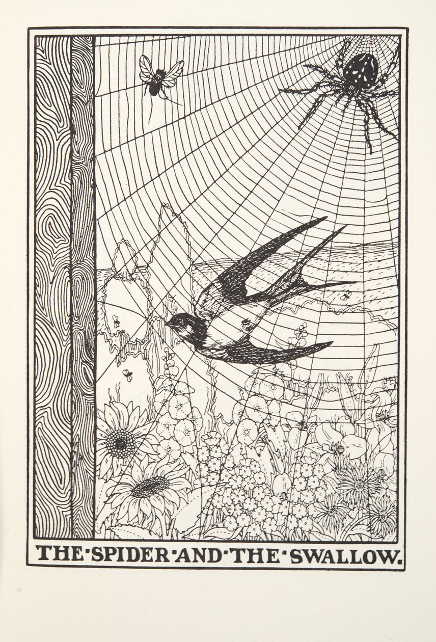 The Spider and the Swallow, de Fontaine Fables, pub. 1905 de Percy J. Billingshurst