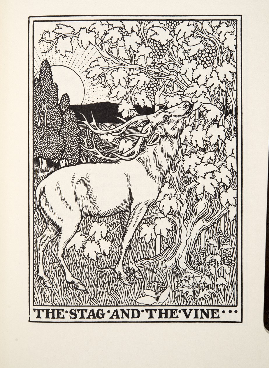 The Stag and the Vine, de Fontaine Fables, pub. 1905 de Percy J. Billingshurst
