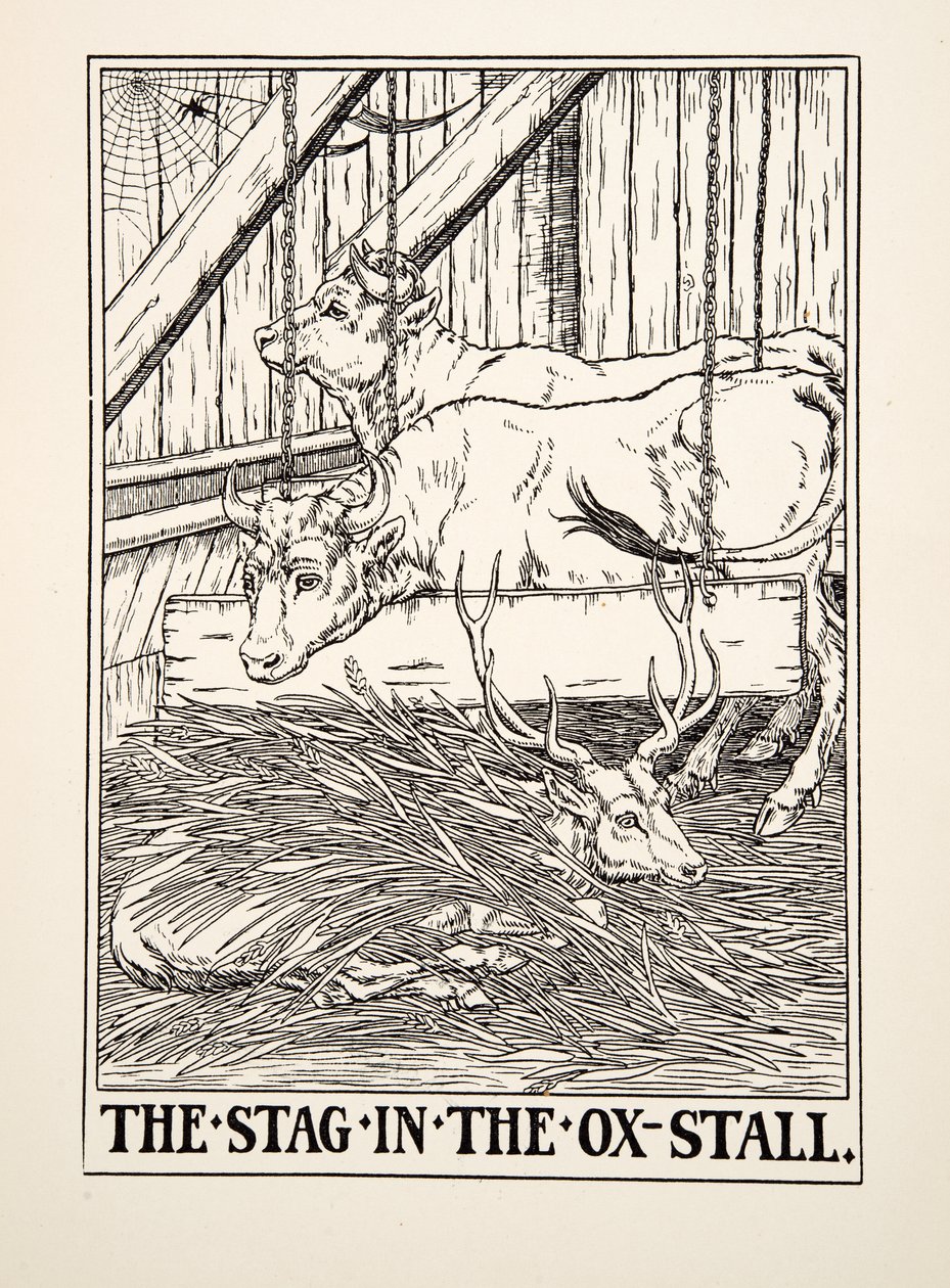 The Stag in the Ox Stall, de A Hundred Fables of Aesop, pub.1903 (gravura) de Percy J. Billingshurst
