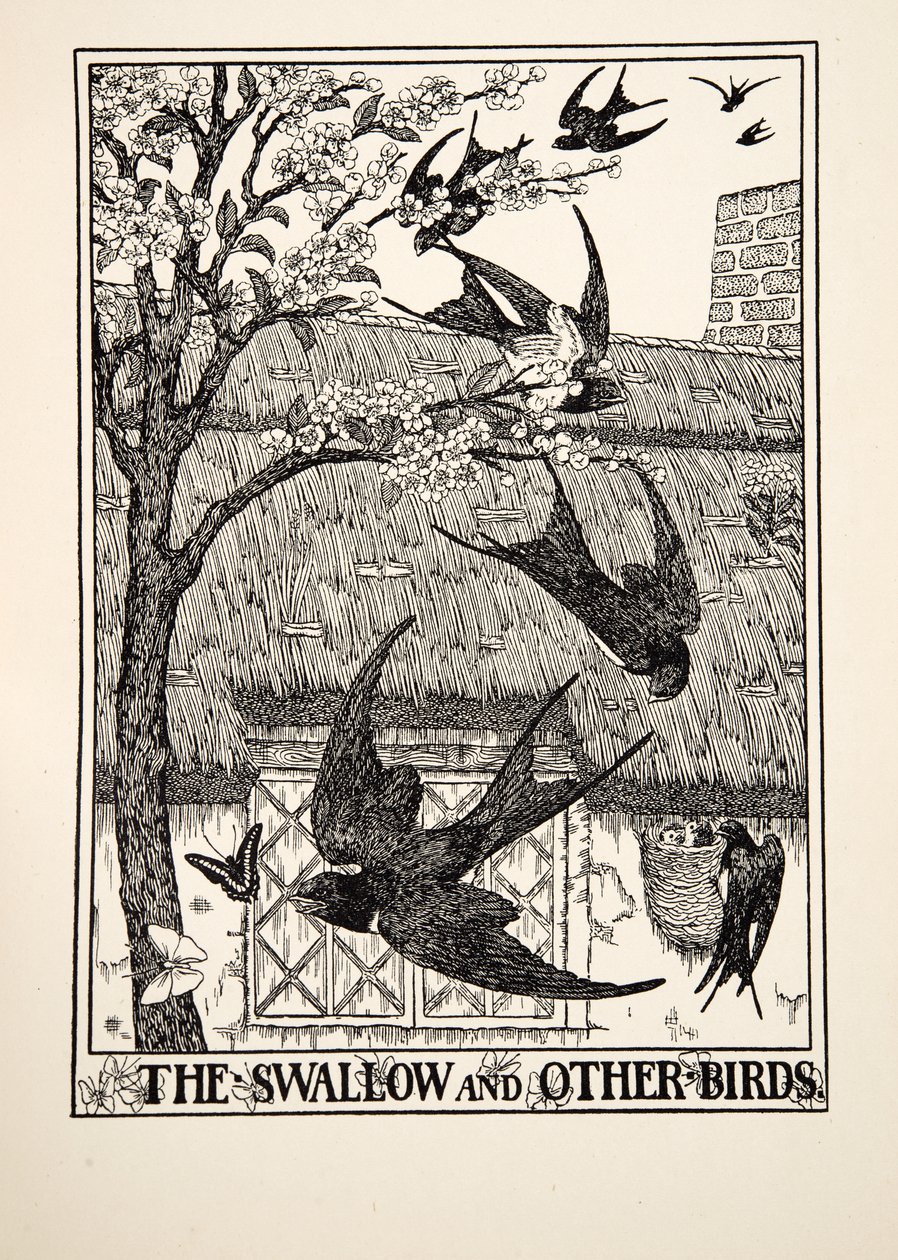 A andorinha e outras aves, de cem fábulas de Esopo, pub.1903 de Percy J. Billingshurst