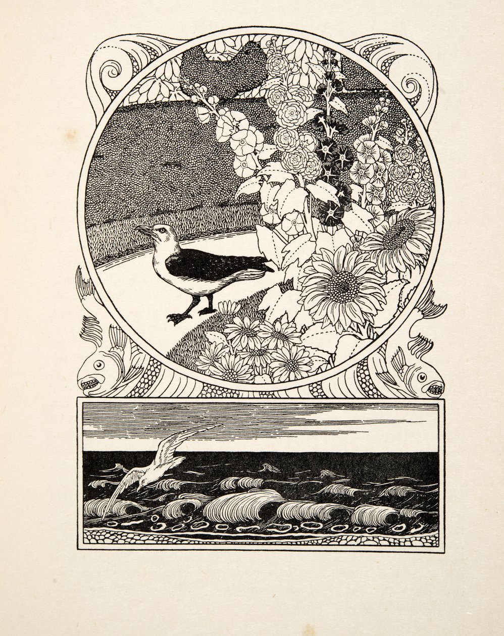 The Tame Seagull, de A Hundred Anecdotes of Animals, pub. 1924 (gravura) de Percy J. Billingshurst