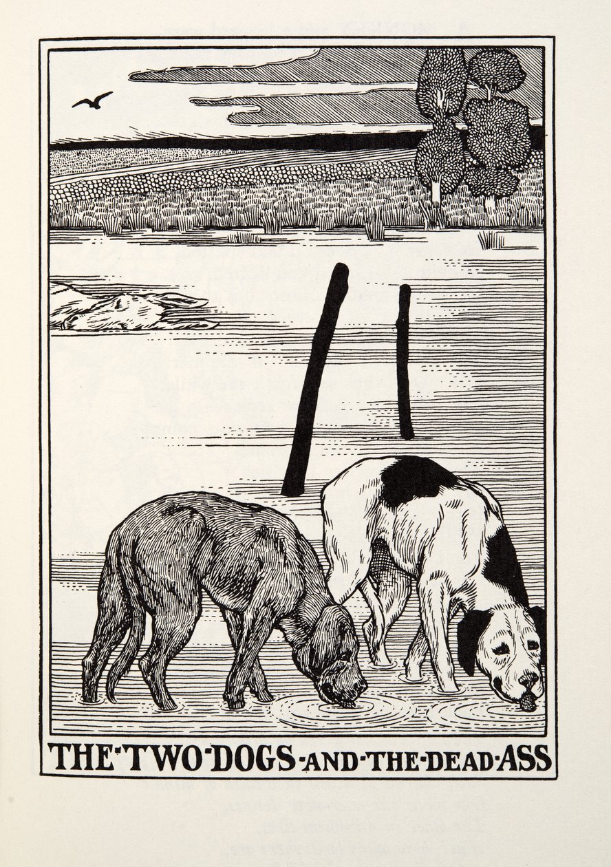 Os dois cães e o burro morto, de Fontaine Fables, pub. 1905 de Percy J. Billingshurst