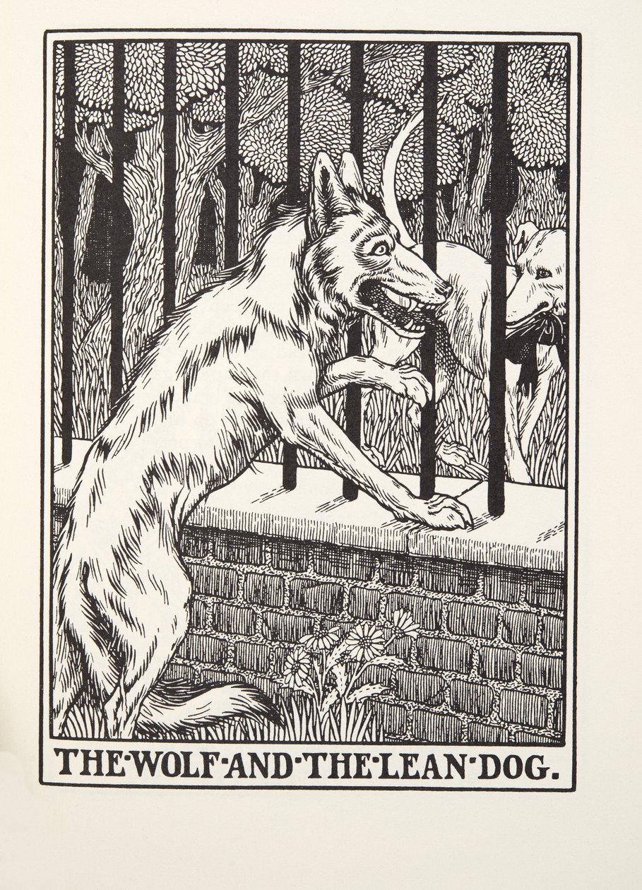 The Wolf and the Lean Dog, de Fontaine Fables, pub. 1905 (gravura) de Percy J. Billingshurst