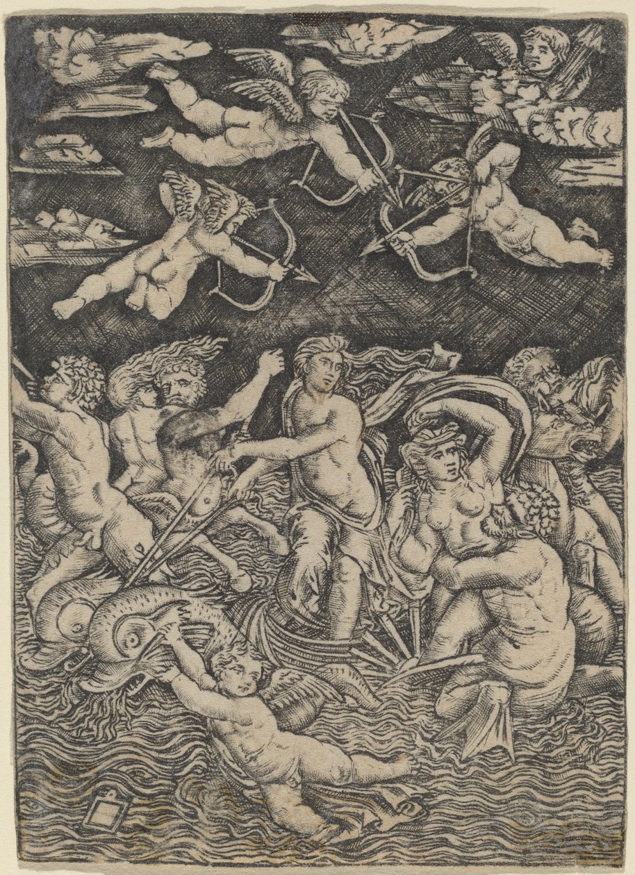 O triunfo de Galatea de Peregrino da Cesena