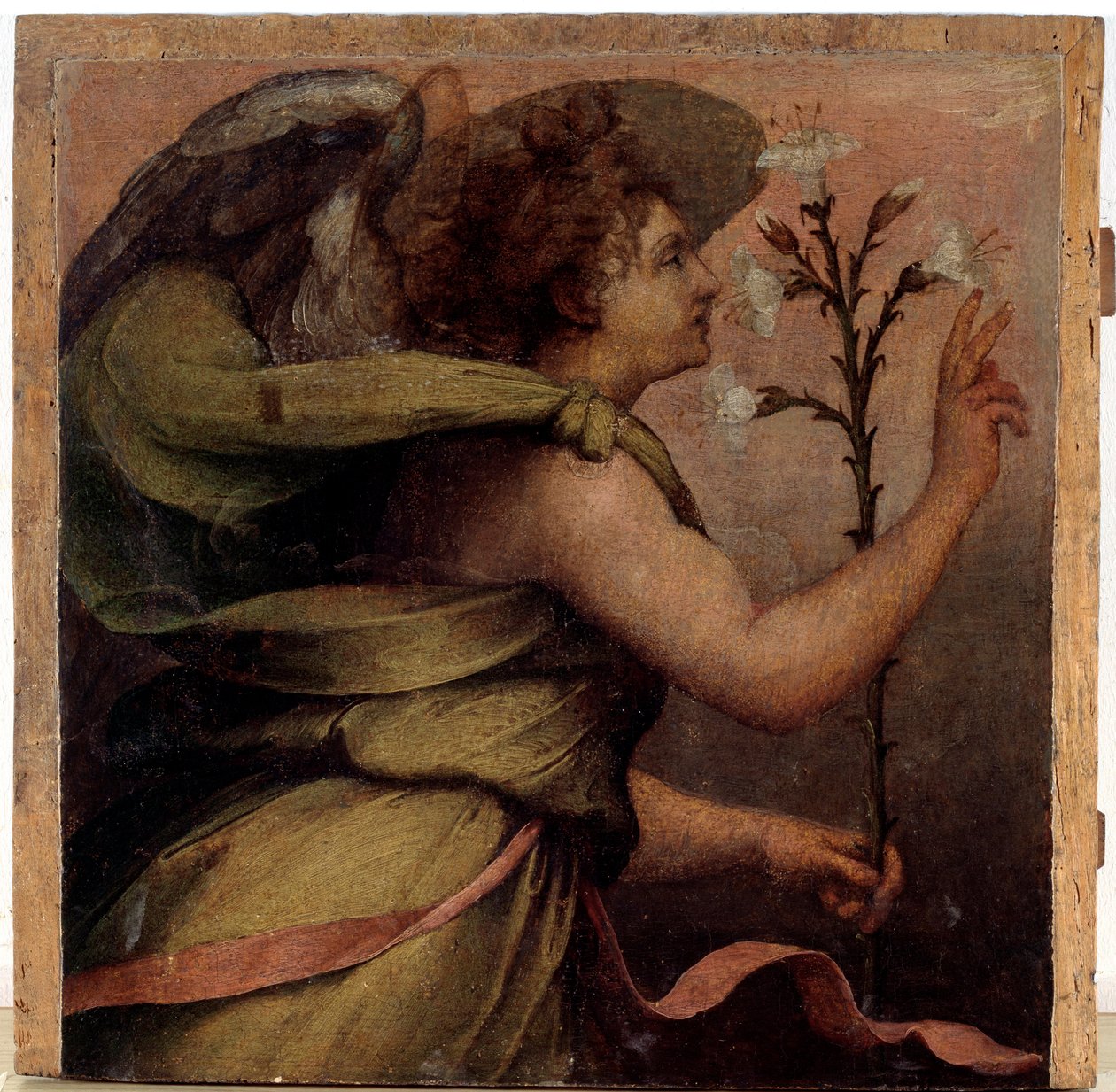 Anjo da Anunciação, detalhe (óleo sobre madeira, c.1535) de Perino del Vaga