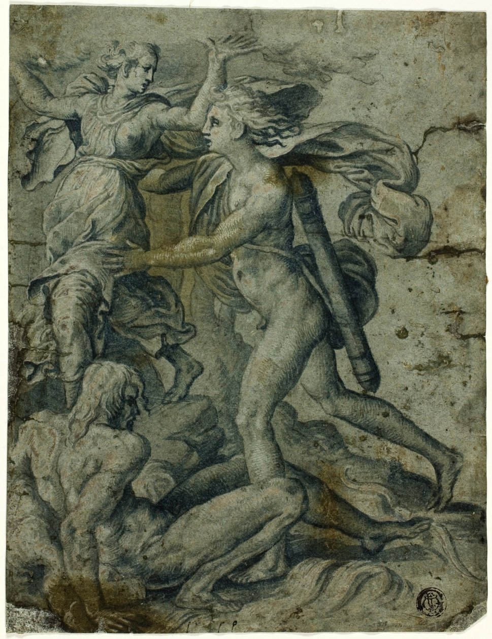 Apolo e Dafne de Perino del Vaga