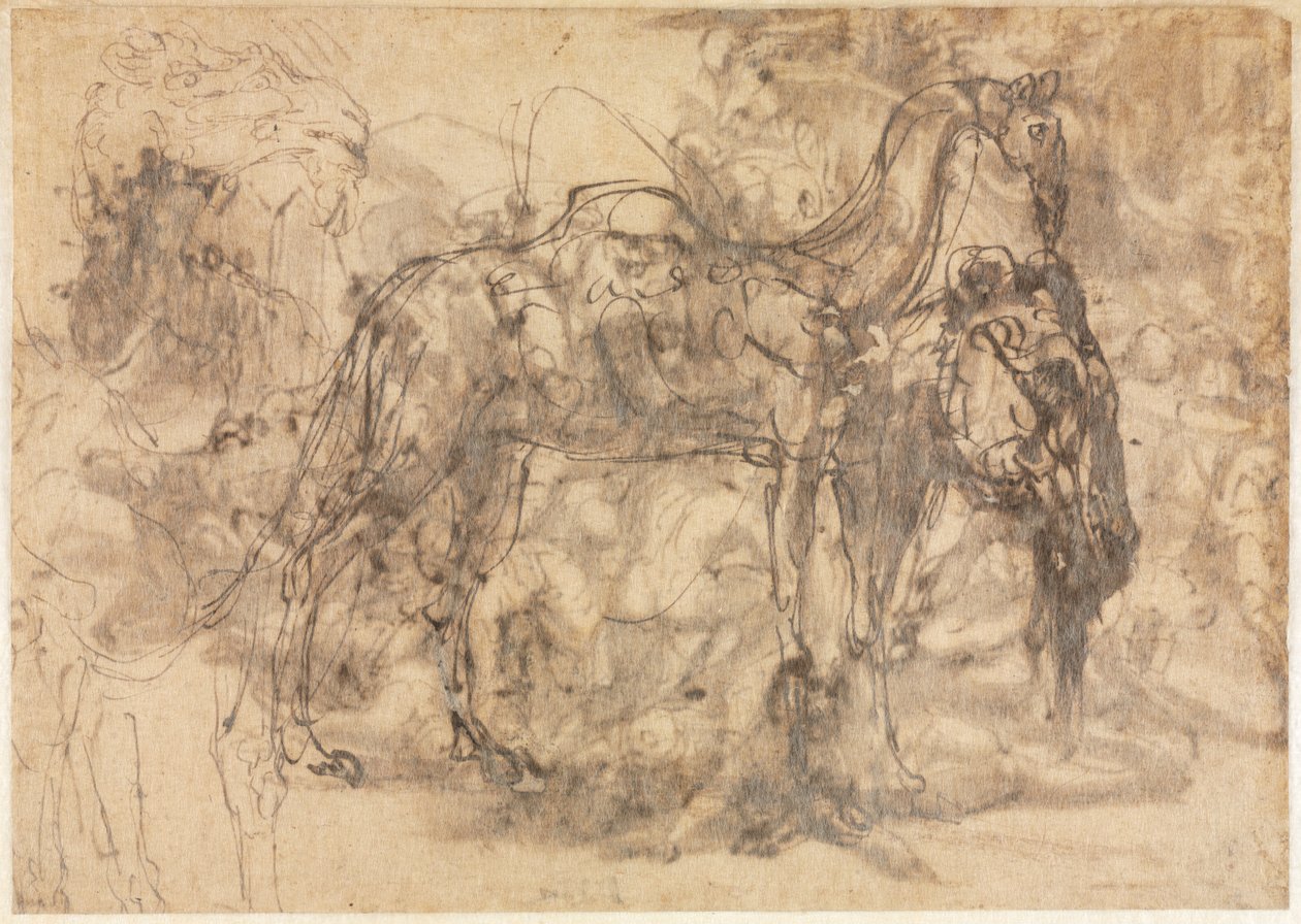 Esboços de Animais verso, c. 154547. de Perino del Vaga