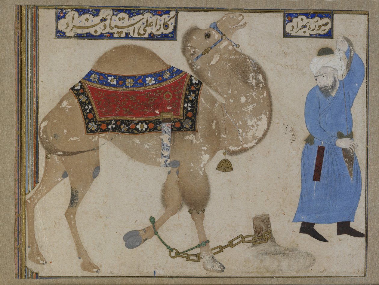Camelo e Guardião Fettered, Período Safávida de Persian School