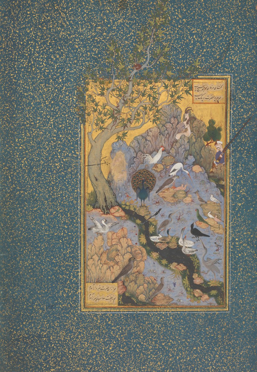 "O Concurso dos Pássaros", c.1600 de Persian School
