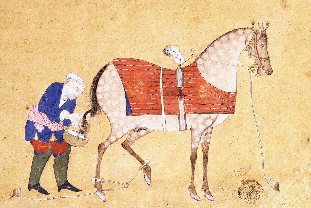 Um noivo com um cavalo, 1694 de Persian School