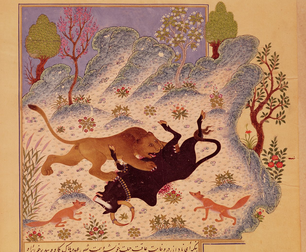 Um Leão ataca e mata um Touro, de um manuscrito de Kabila wa Dimna (guache em papel) de Persian School