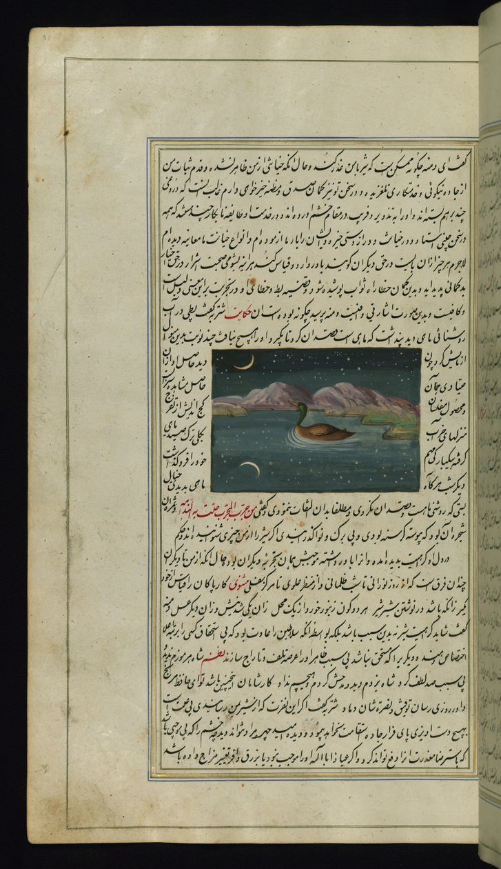 Um ganso e um reflexo da lua na água das Luzes de Canopus de Persian School