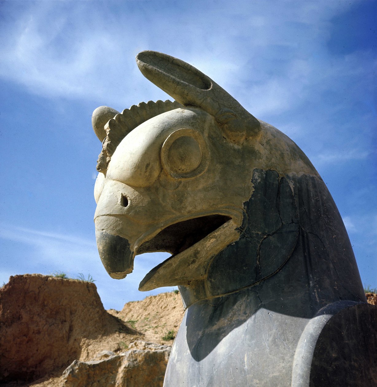 Um grifo, criatura lendária meio águia, meio leão. Coluna da Apadana, grande sala de audiências, superada por estas capitais, palácio de Dario I, Persepolis, Irão. de Persian School