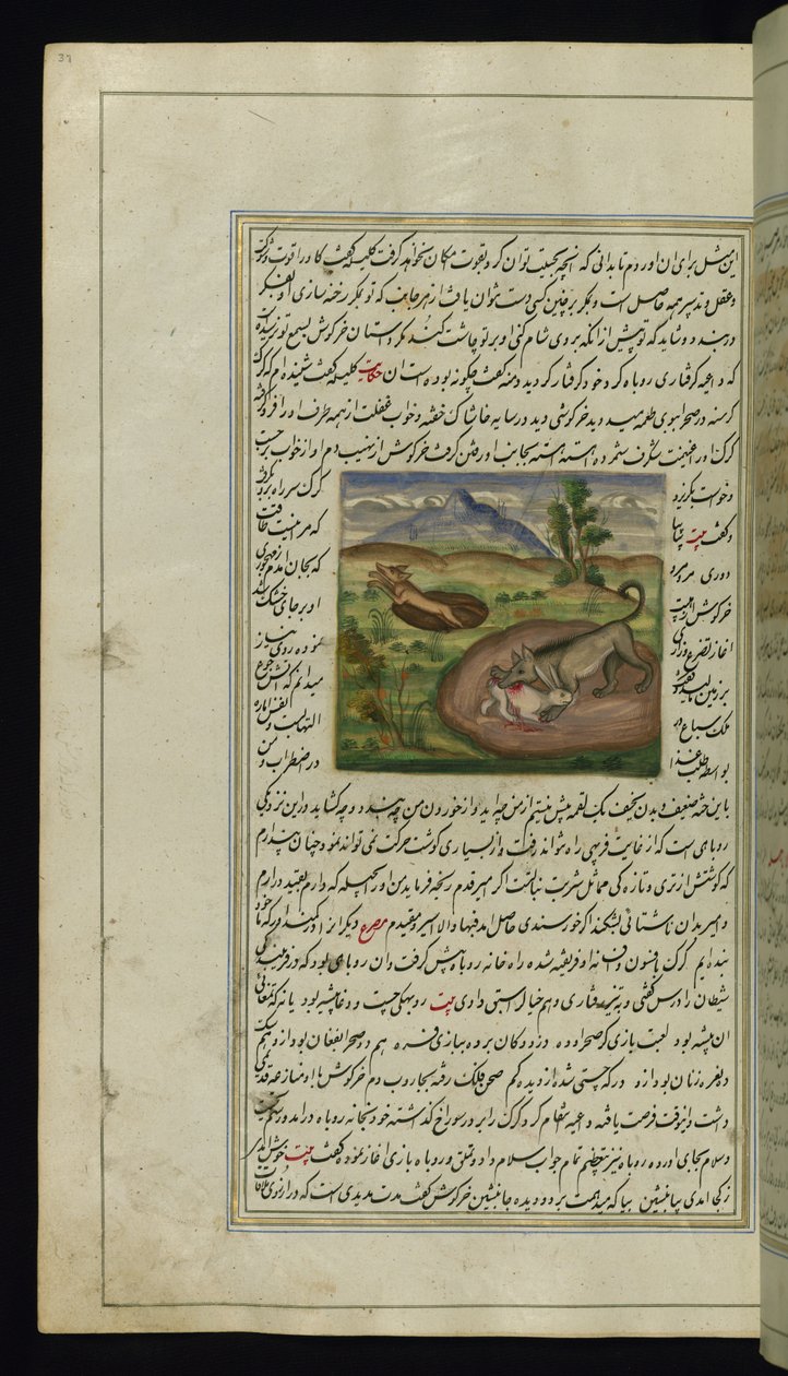 Um chacal devora uma lebre de Lights of Canopus, 1847 de Persian School