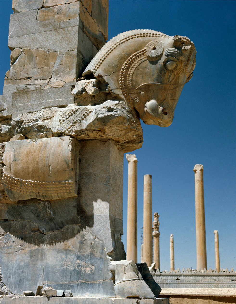 Achaemenid capital da coluna em forma de touro, século VI a.C. de Persian School