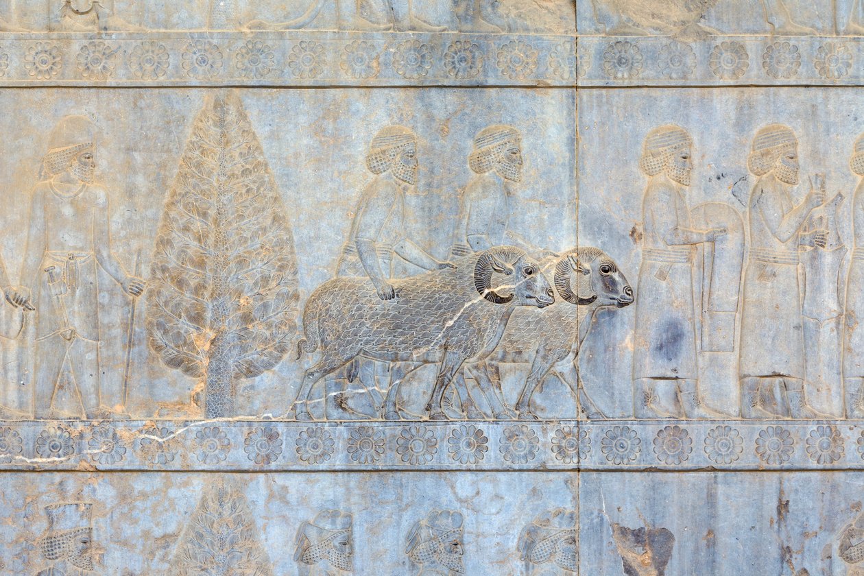 Relevos baixos nas paredes do palácio e escadaria de Apadana, Persepolis, Irão (grés) de Persian School