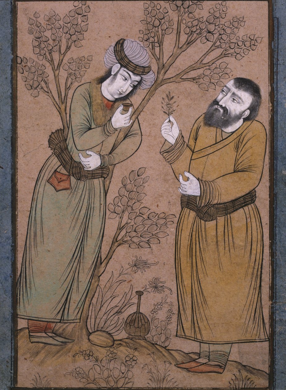Doutor, dar, um, herbário, remédio, para, um, homem jovem, tarde, 17o século, cedo, 18º século de Persian School