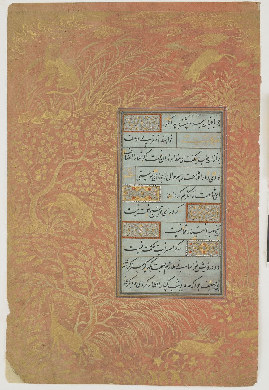 Fólio de caligrafia, Irã, Dinastia Safávida (tinta, aquarela opaca e ouro sobre papel) de Persian School