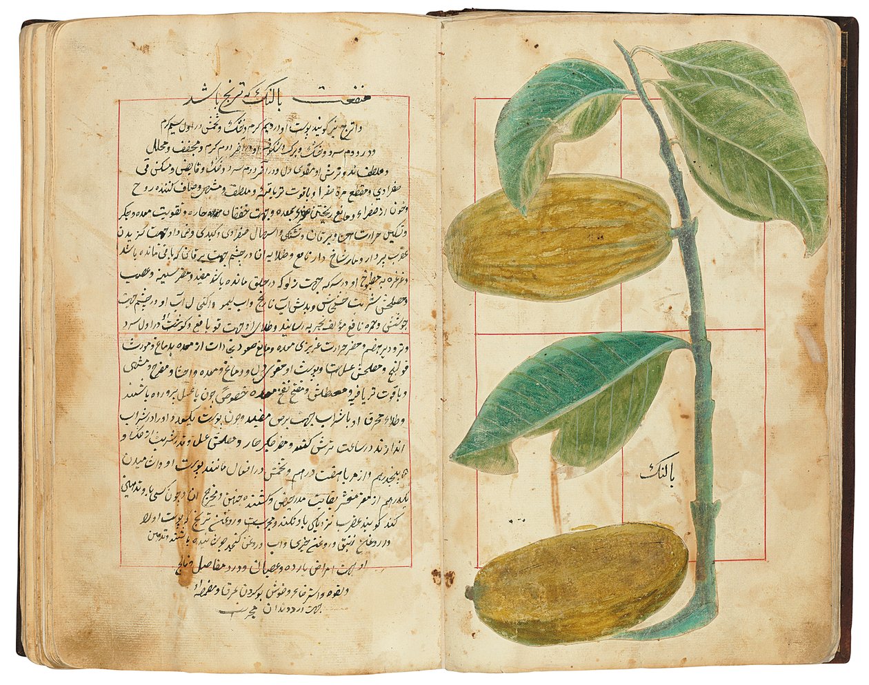 Hassan Bin Baqir Bin Jarrah: Gulzar Al-Rayahin, Qajar Irã de Persian School