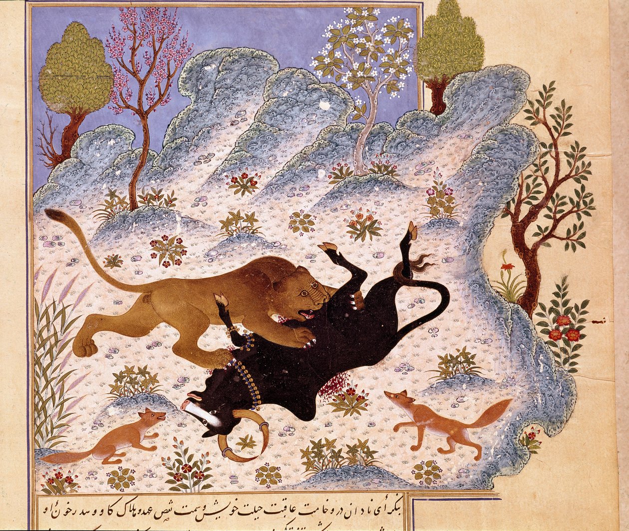 Leão a atacar um touro Página de um Kalila e Dimna de Persian School