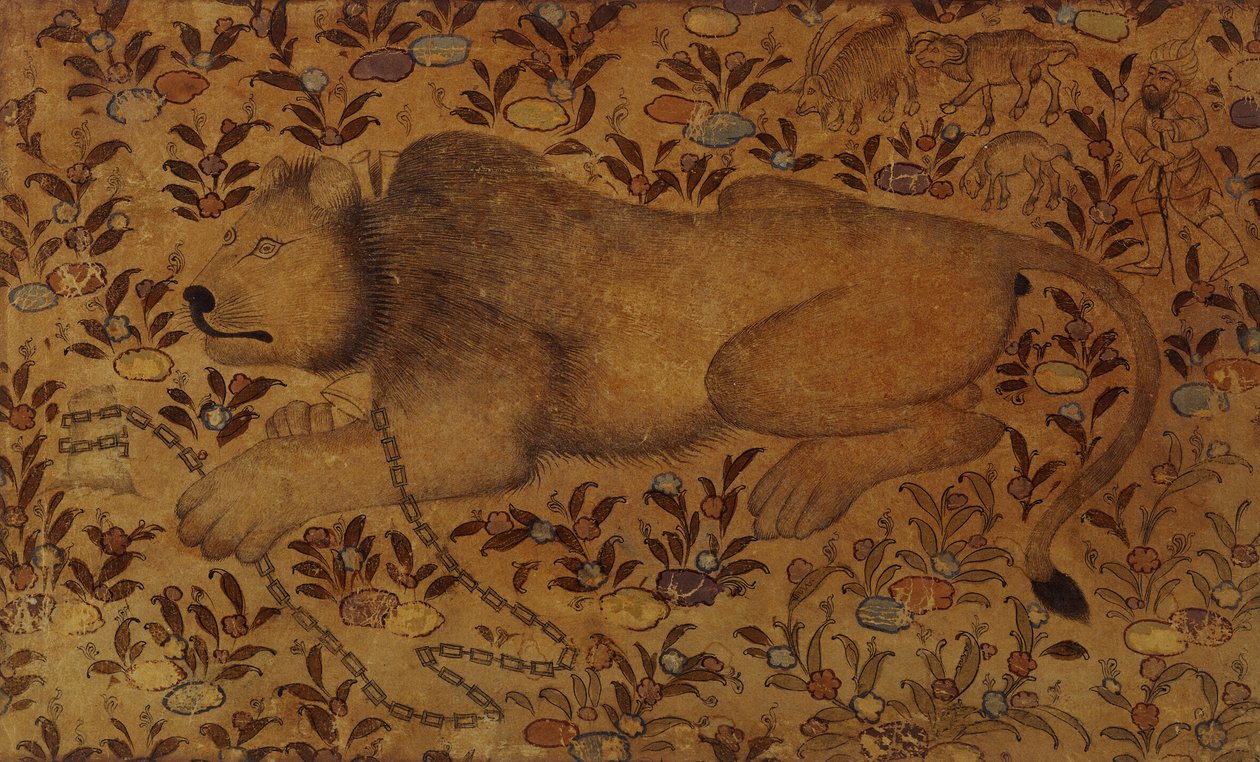 Estudo de um leão, século XVI de Persian School