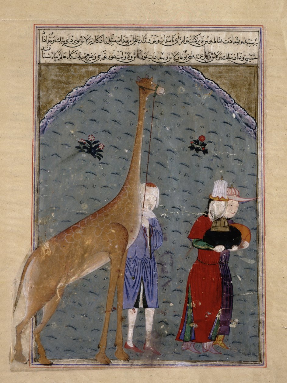 Os embaixadores do sultão egípcio al-Nasir Faraj ibn Barquq apresentam seus Dons de Homenagem, incluindo uma girafa, a Timur, ilustração de Zafarnama de Sharaf al-Din Ali Yazdishiraz, 1436 (tinta, de Persian School