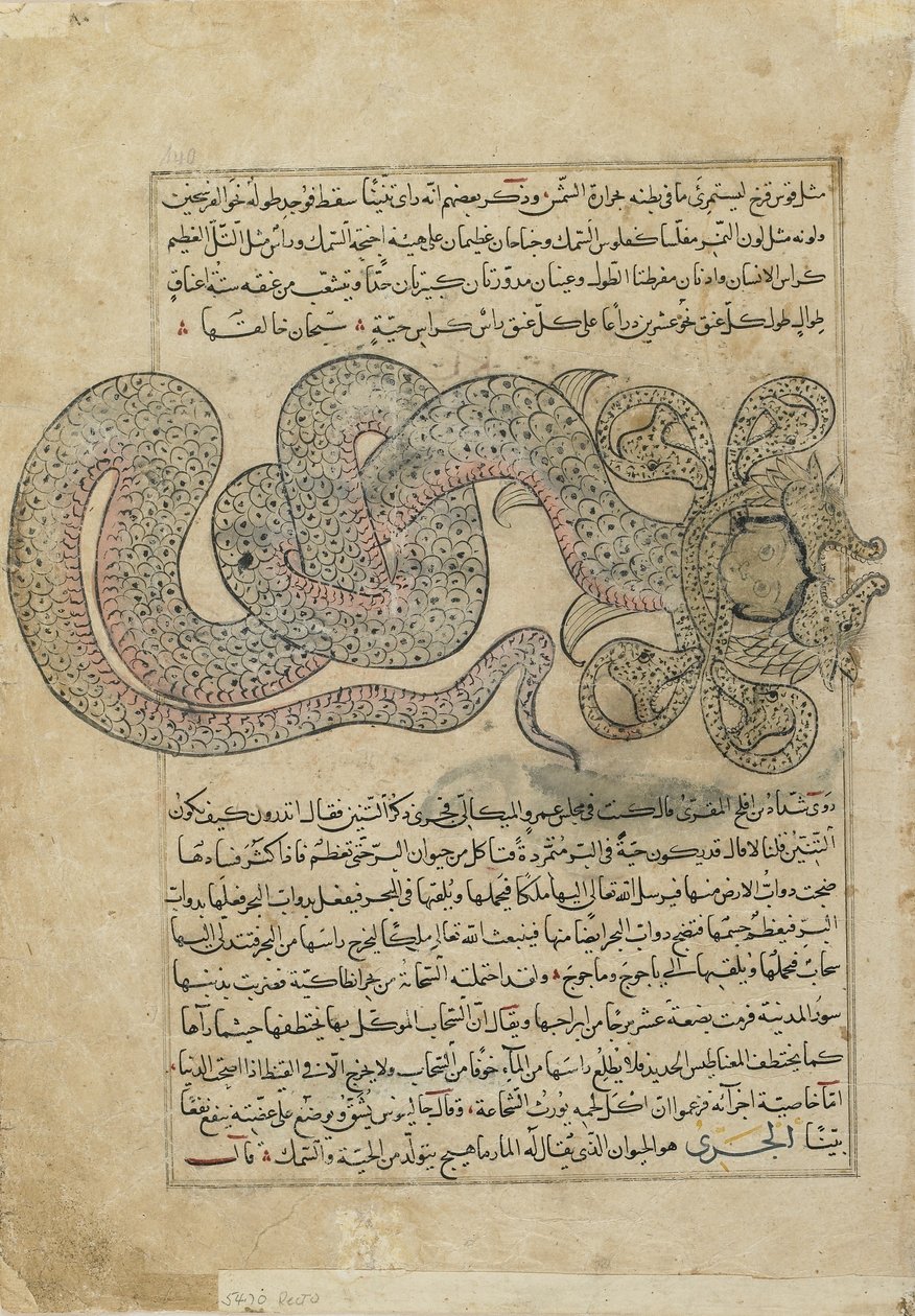 The Sea-SerpentDragon (al-Tannin), folio de Ajaib al-makhluqat (Maravilhas da Criação) por al-Qazvini, Iraque ou Turquia Oriental (aguarela opaca, tinta, ouro e prata sobre papel) de Persian School