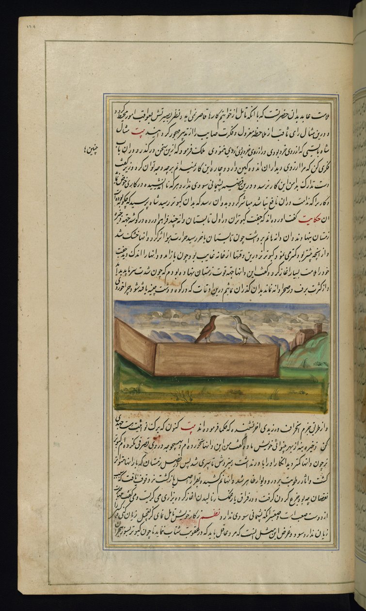 Dois pombos e um suprimento de grãos das Luzes de Canopus de Persian School