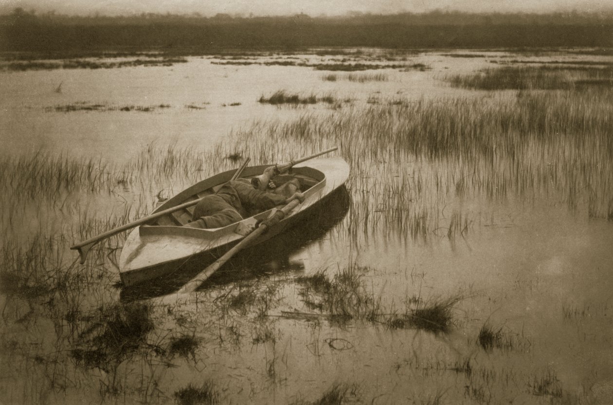 Artilheiro Acordando as Aves, a Vida e a Paisagem nas Norfolk Broads, c.1886 de Peter Emerson und Thomas Goodall