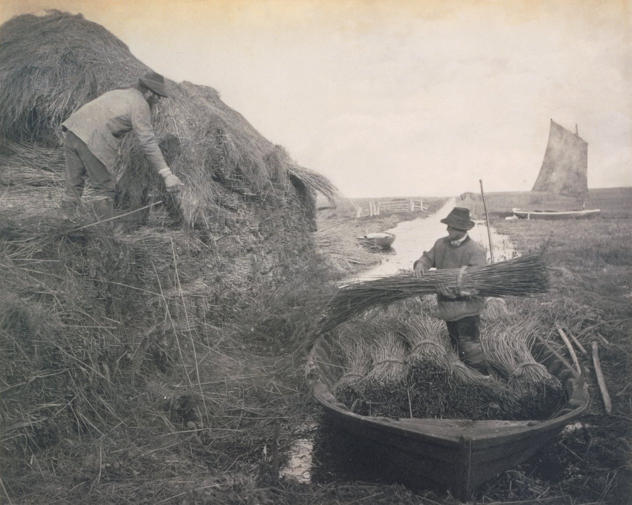 Ricking o Reed, a vida e a paisagem nos Broads de Norfolk, c.1886 de Peter Emerson und Thomas Goodall