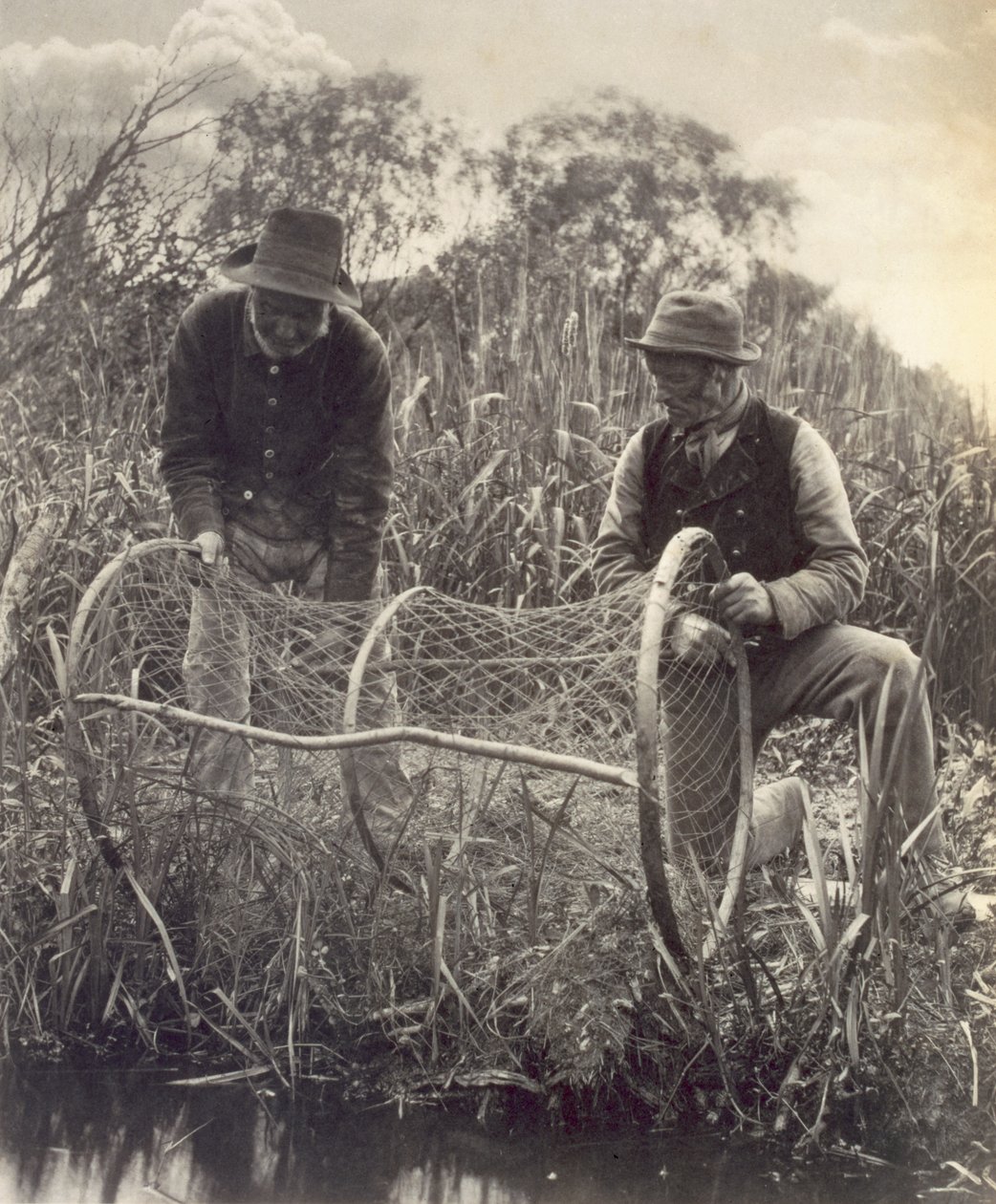 Definindo a Rede de Arco, Vida e Paisagem nas Norfolk Broads, c.1886, de Peter Emerson und Thomas Goodall