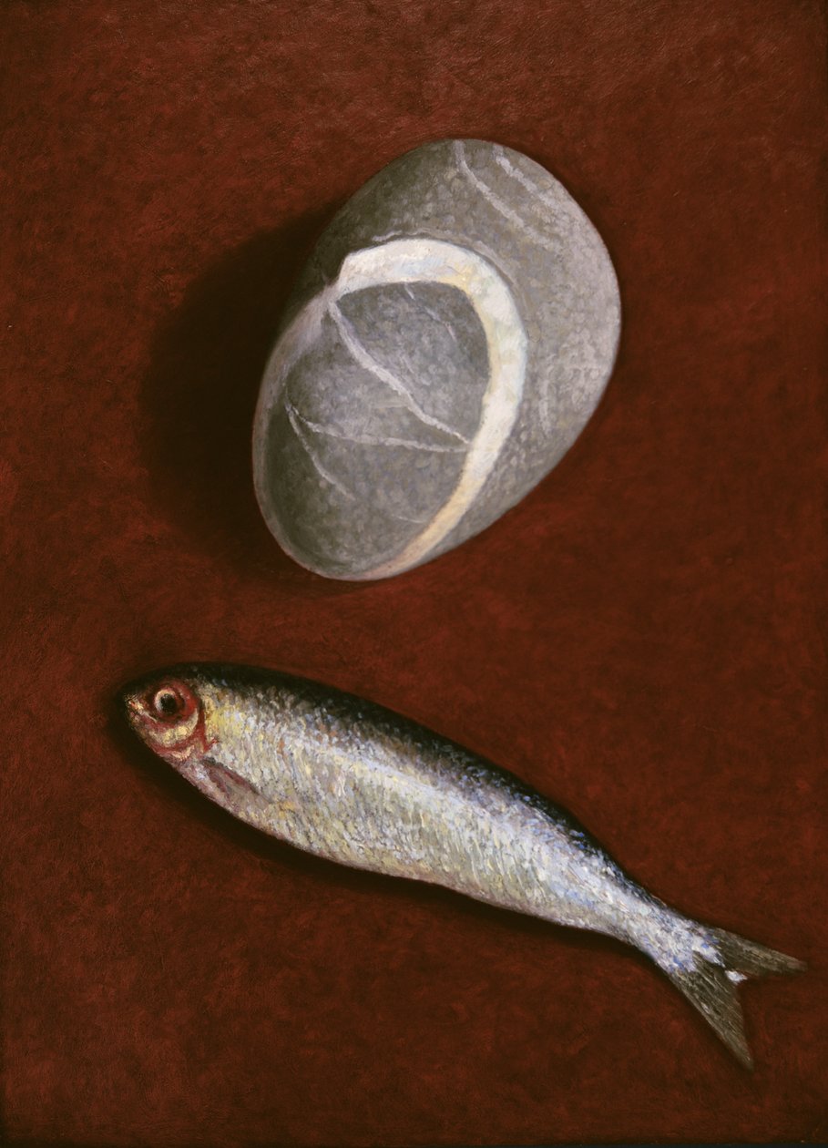 Forma de Peixe e Rocha, 1997 de Peter Davidson