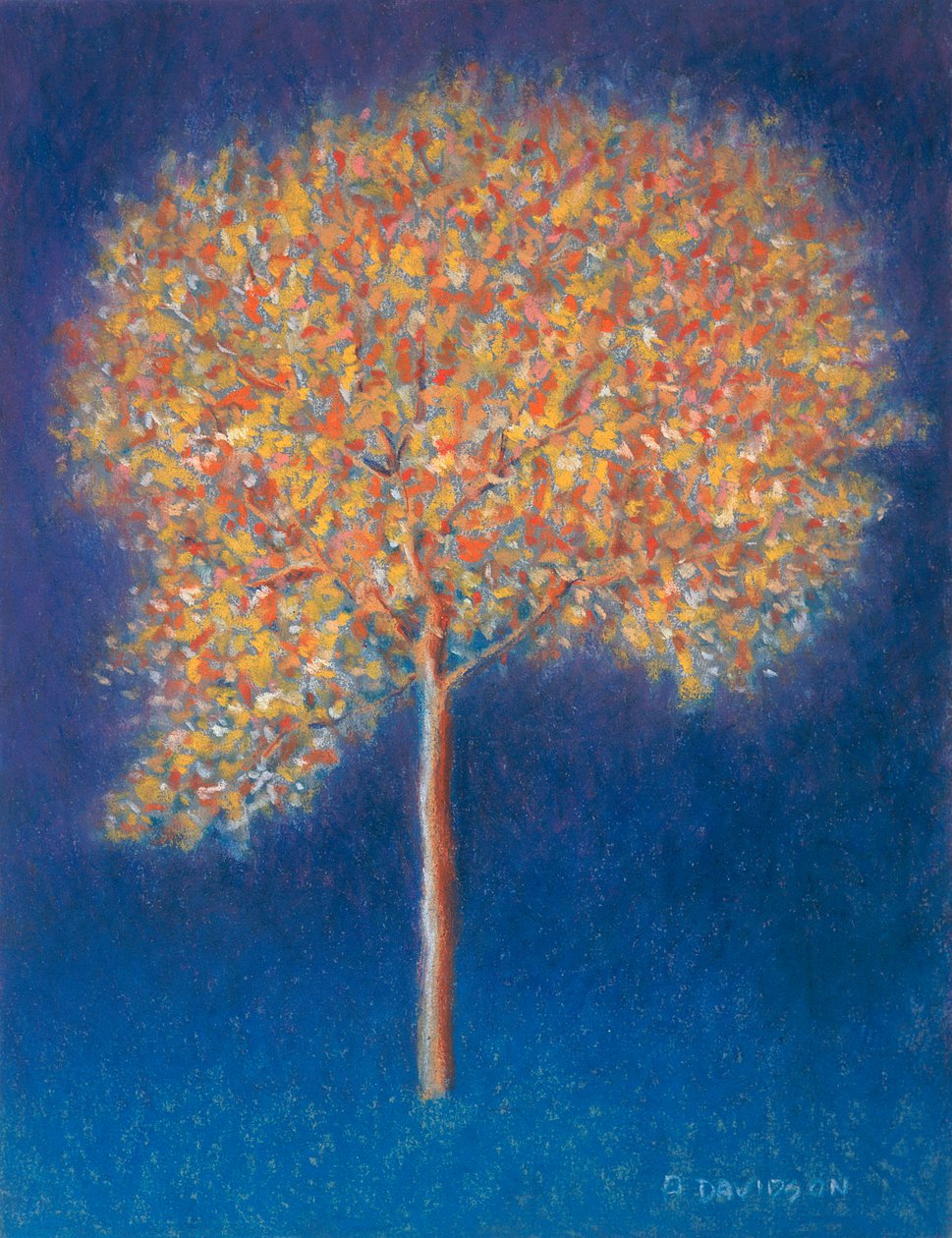 Árvore em flor, 1997 de Peter Davidson