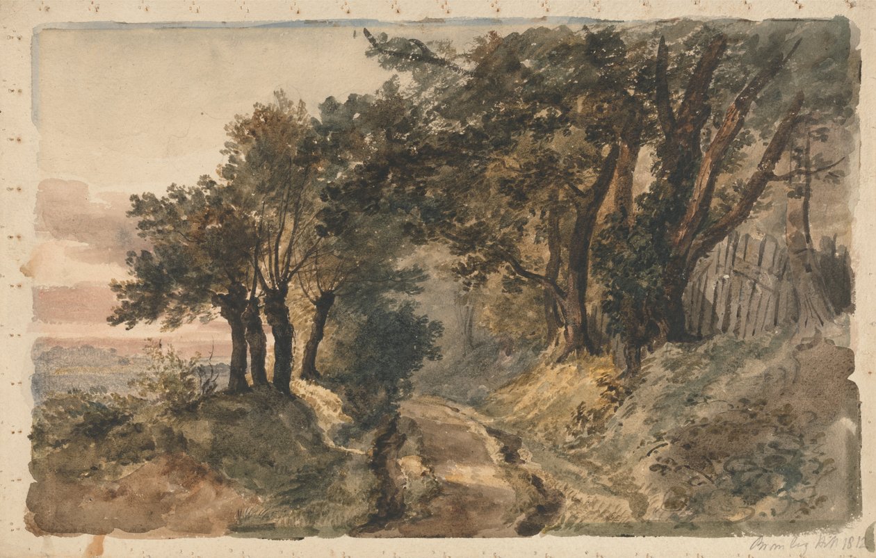 Bromley Hill de Peter de Wint