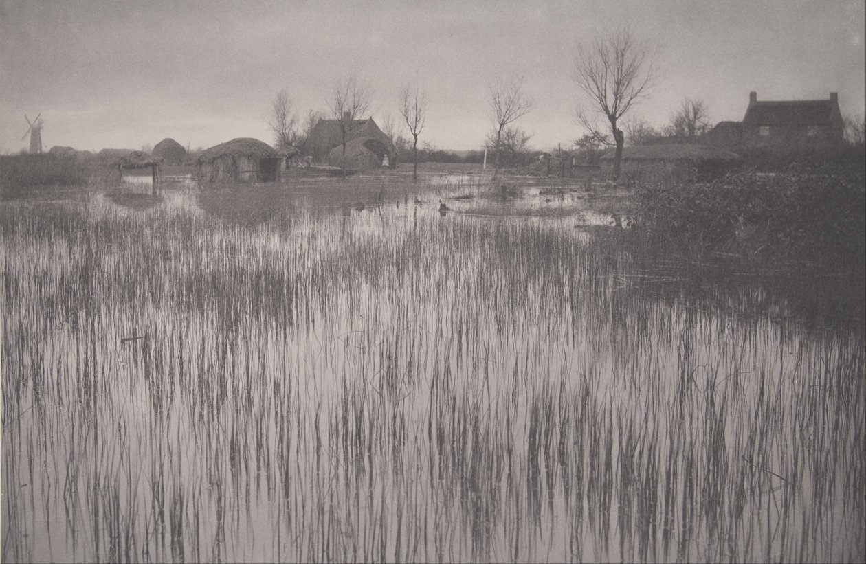 A Rushy Shore, prato XXXV da Life and Landscape no Norfolk Broads de Peter Henry Emerson
