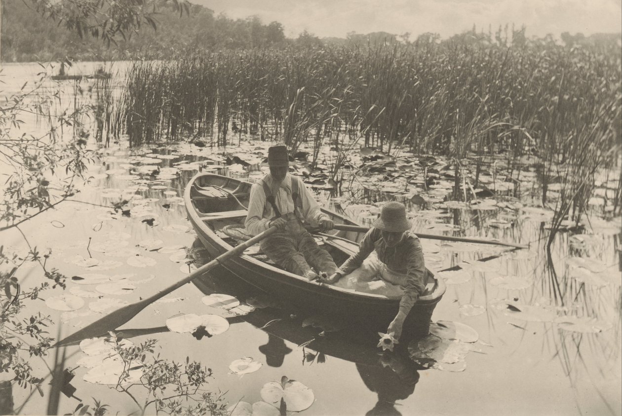 Recolhendo lírios de água de Peter Henry Emerson