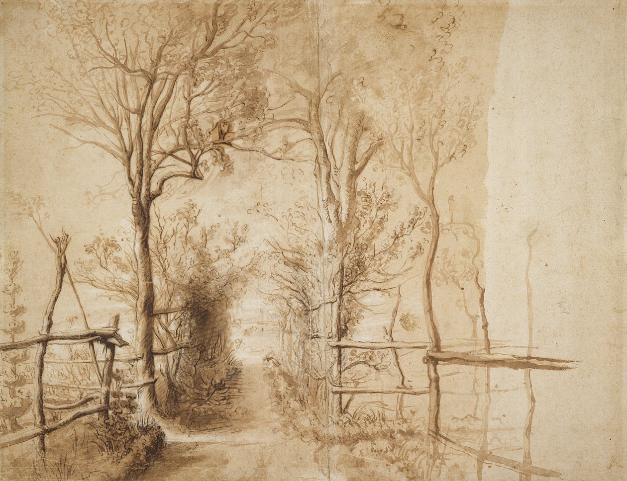 Um caminho limitado por árvores (giz colorido, tinta e papel) de Peter Paul Rubens